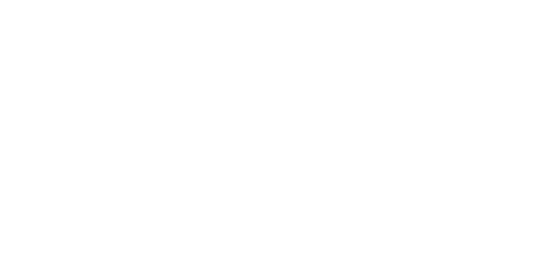 logo delinp